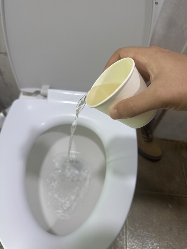 건강의 모든 것