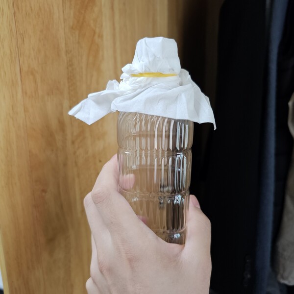건강의 모든 것