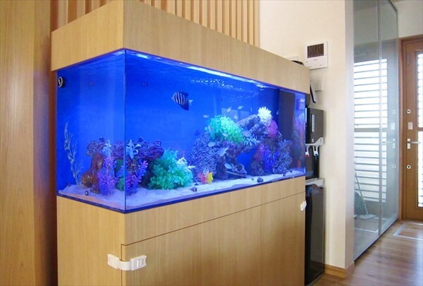 aquagarden