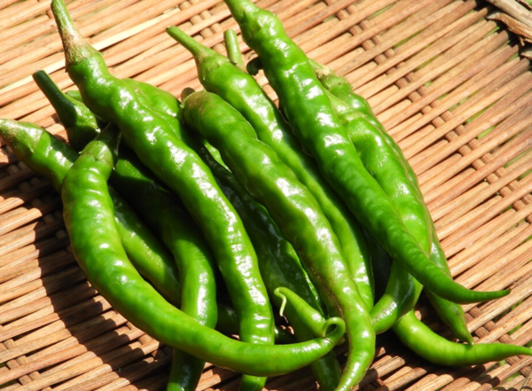 taberutokurasuto