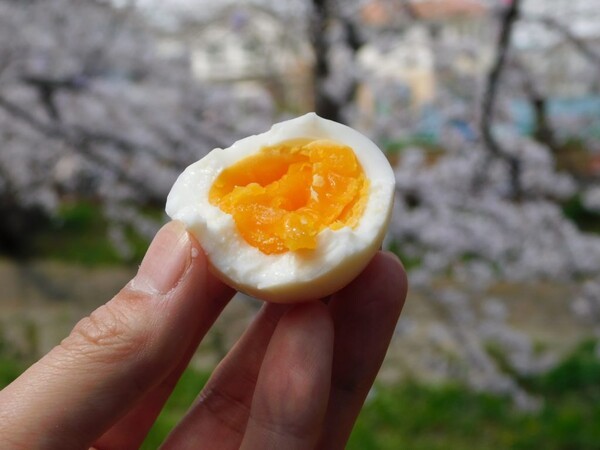 sorakina