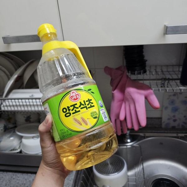 건강의 모든 것