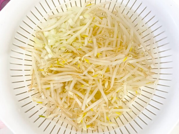 nichinichi-magazine