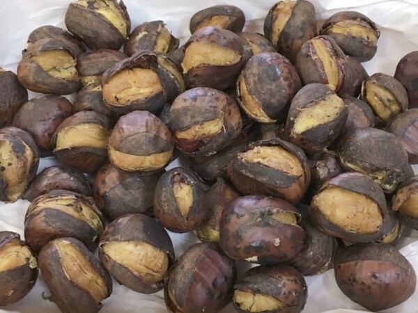 kuridocco