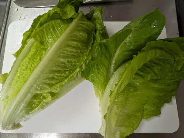 agri-cooking