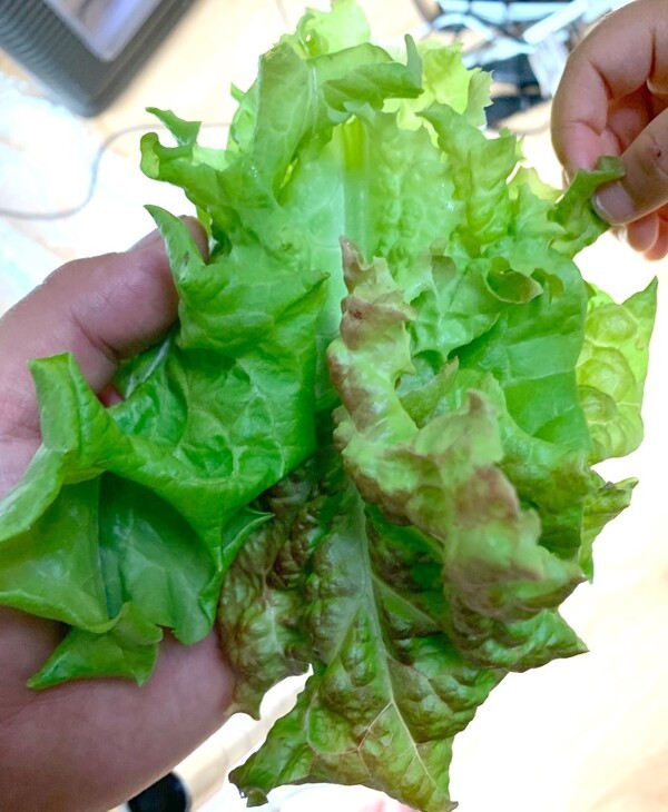 ameblo