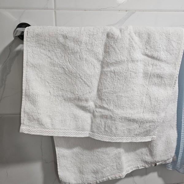 건강의 모든 것