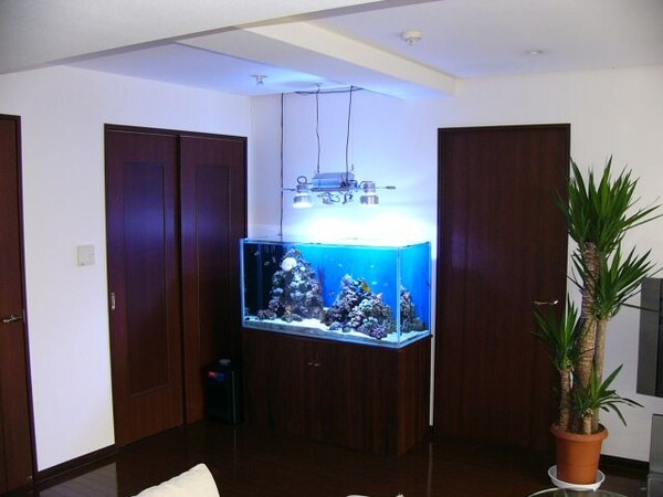 aquagarden
