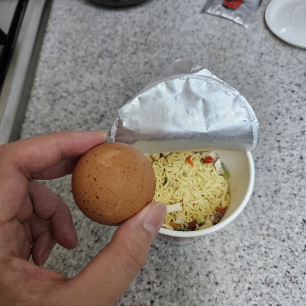 건강의 모든 것