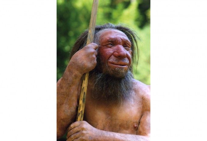 引用：ネアンデルタール人博物館