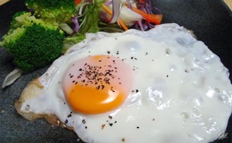 온라인 커뮤니티