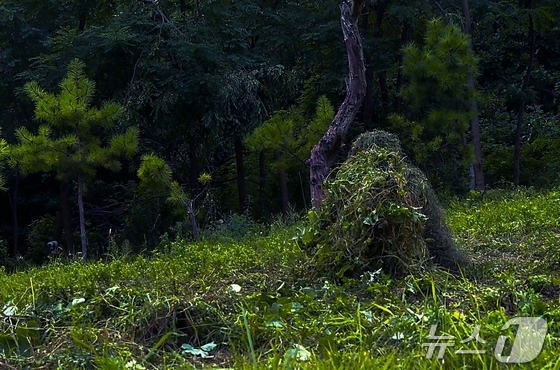 Kim Jong Un reviews training at special operations base of the Korean People’s Army / Rodong Sinmun