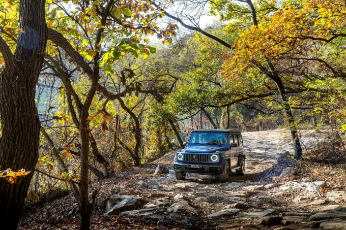 메르세데스-벤츠 코리아가 '메르세데스-AMG 익스피리언스'와 '메르세데스-벤츠 SUV 익스피리언스'의 하반기 참가 접수를 시작했다. /사진=벤츠코리아
