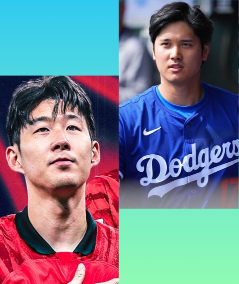 引用:X