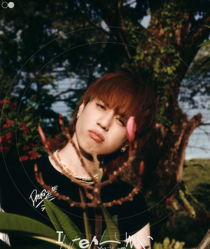 引用：instagram@aomgofficial