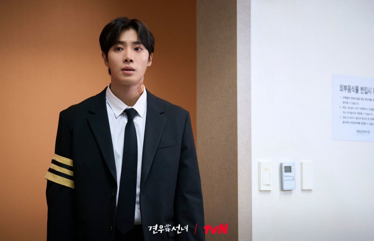 引用:tvN