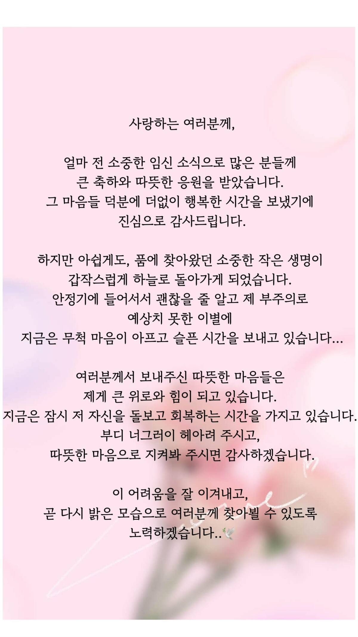 引用:instagram@elizabeth0912i