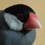 btd570381315b4fe777856113b1b7c95c6.png
