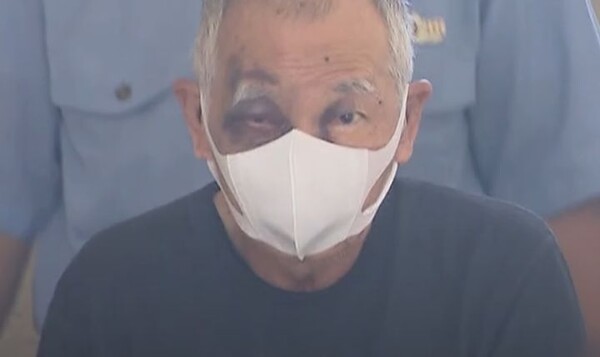 引用：ニューシス