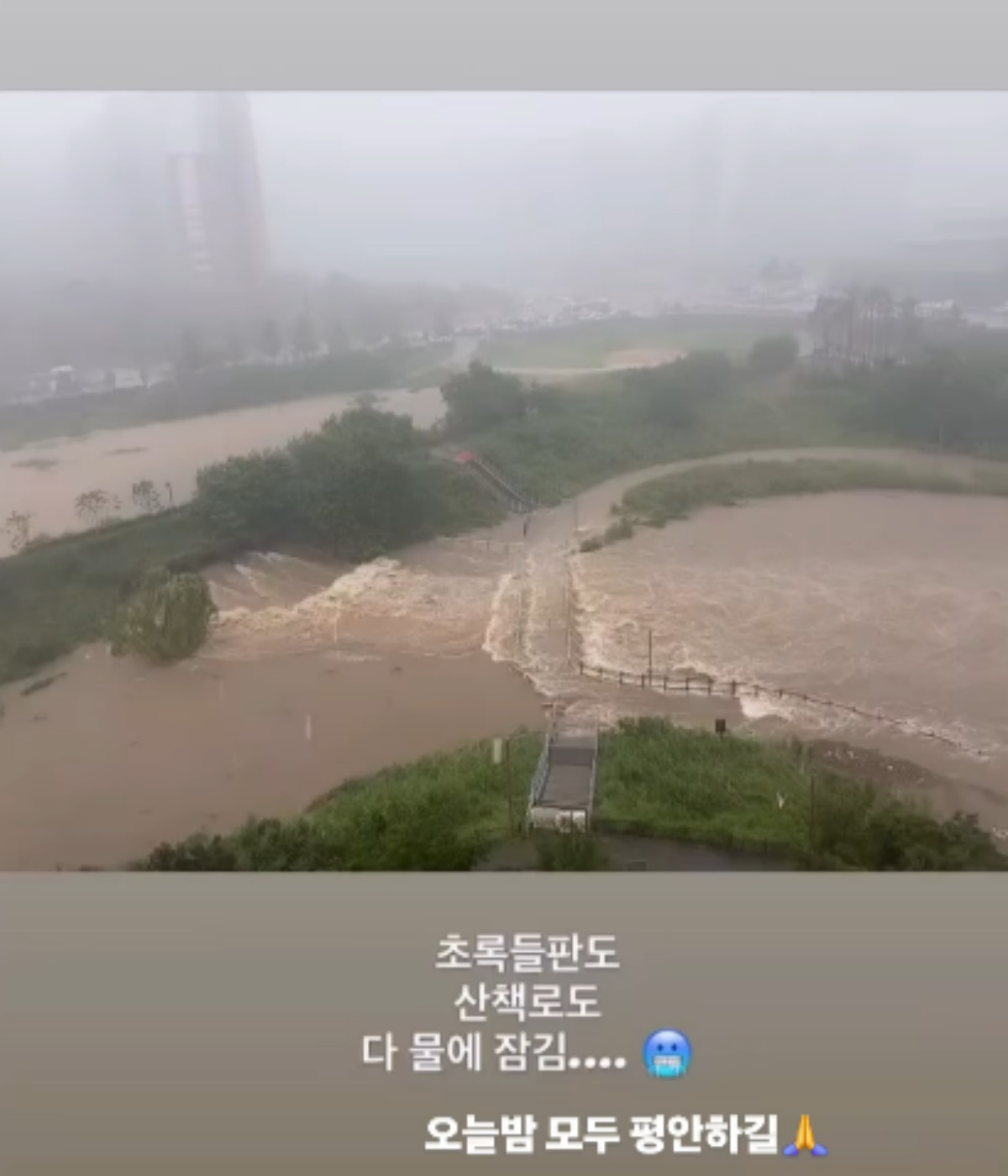 출처 : 심하은 SNS