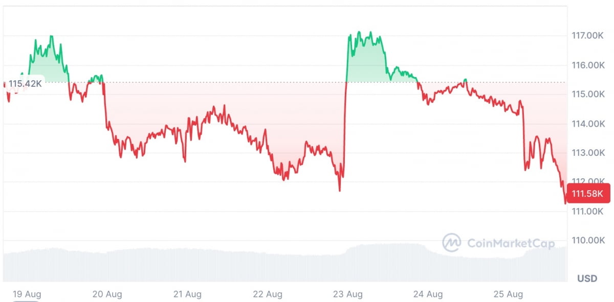 引用：CoinMarketCap