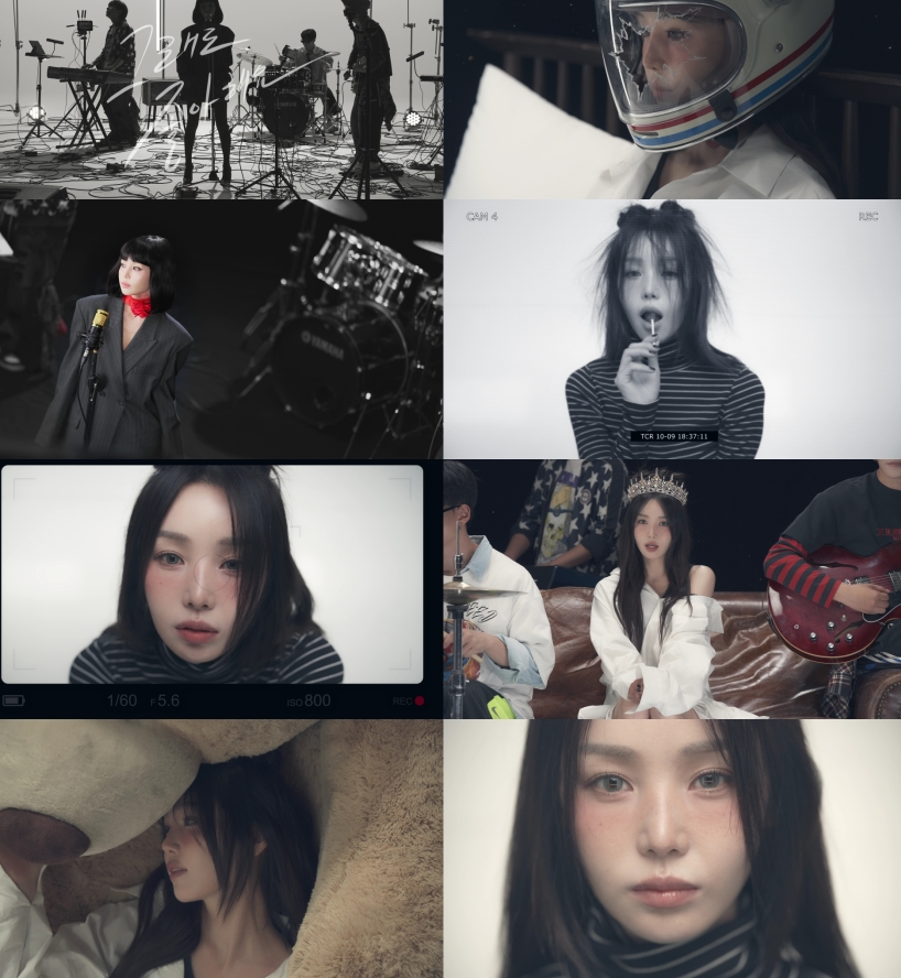티브이데일리 포토