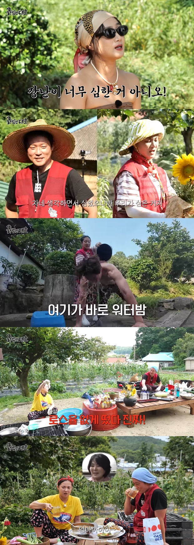 티브이데일리 포토