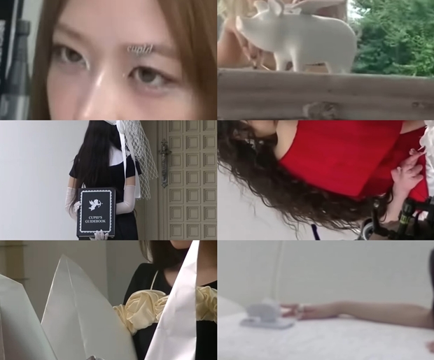 티브이데일리 포토
