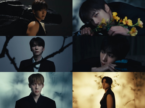 몬스타엑스