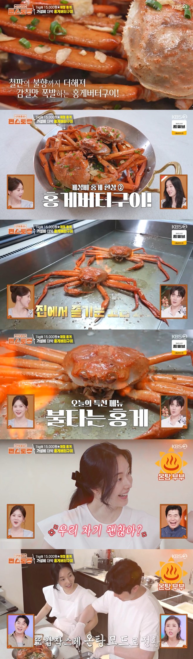 티브이데일리 포토