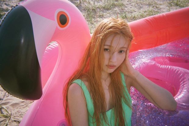 조이