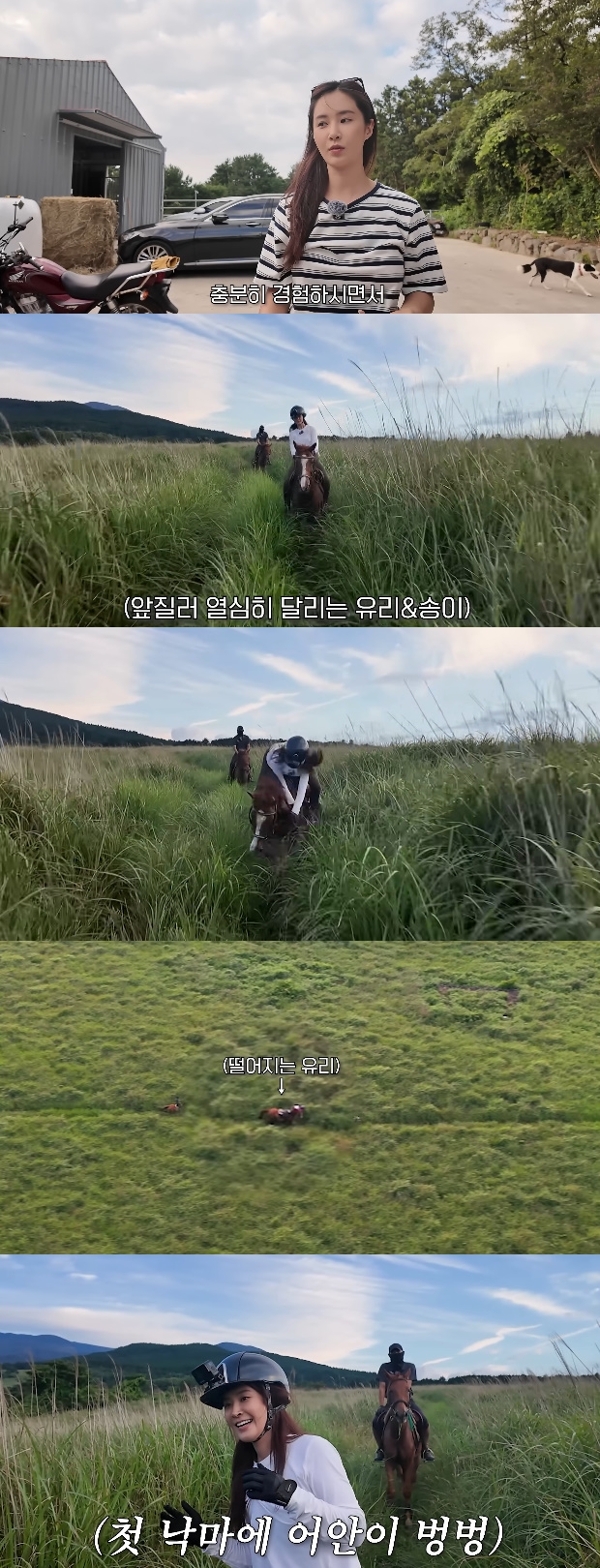 티브이데일리 포토