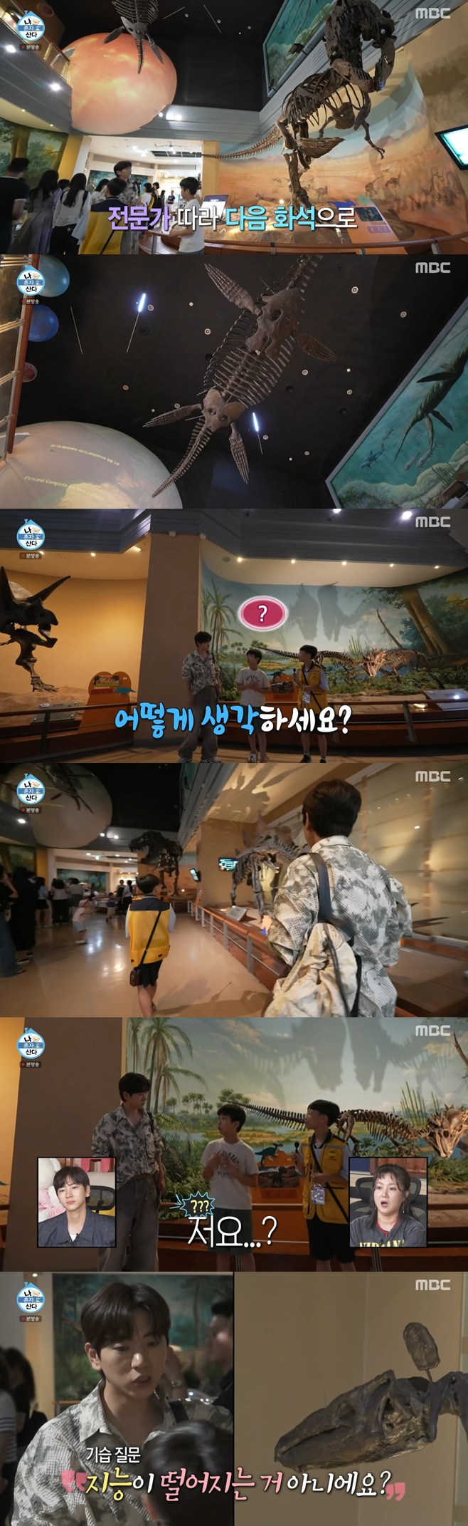 티브이데일리 포토