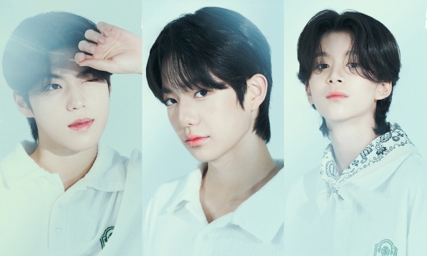 이연태·박세찬·반다니엘