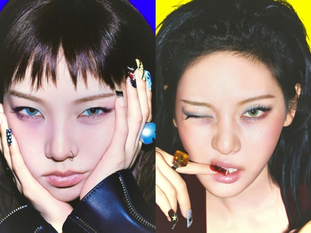 티브이데일리 포토