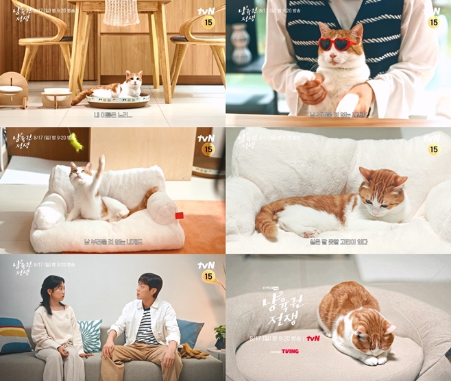 냥육권 전쟁, 윤두준 김슬기