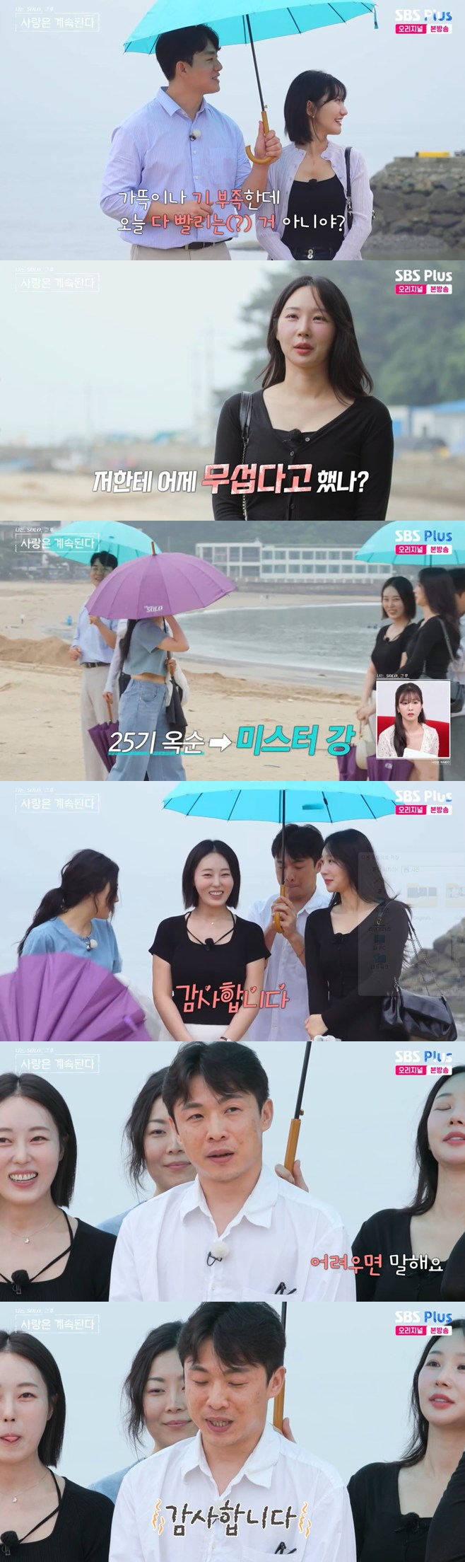 티브이데일리 포토