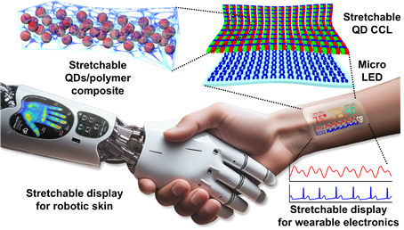 웨어러블 헬스케어 및 로보틱스 응용에 적합한 고신축성·고해상도 양자점 색변환층 기반 스트레처블 디스플레이의 개략도