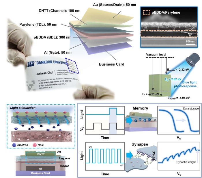 종이 명함에 제작된 차세대 AI반도체의 정보 저장 및 인공 시냅스 기능.