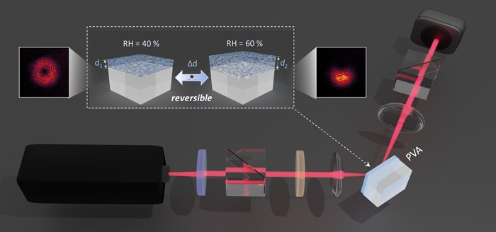 PVA 필름이 수분을 흡·탈착하면서 굴절률과 두께를 조절해 스핀 홀 효과에 의해 빔 모드를 '엣지 강조 ↔ 브라이트 필드'로 0.1 초 내 전환시키는 과정을 시각화한 도식
