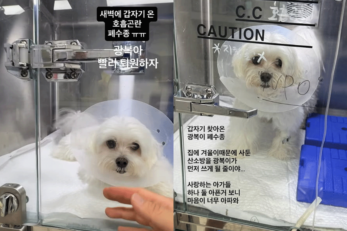 출처 : 이솔이 인스타그램