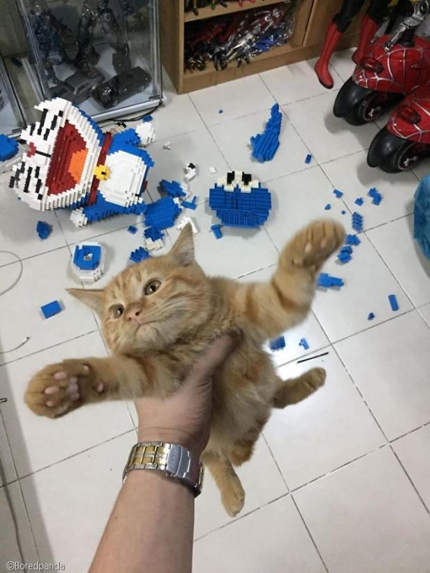 引用：Boredpanda