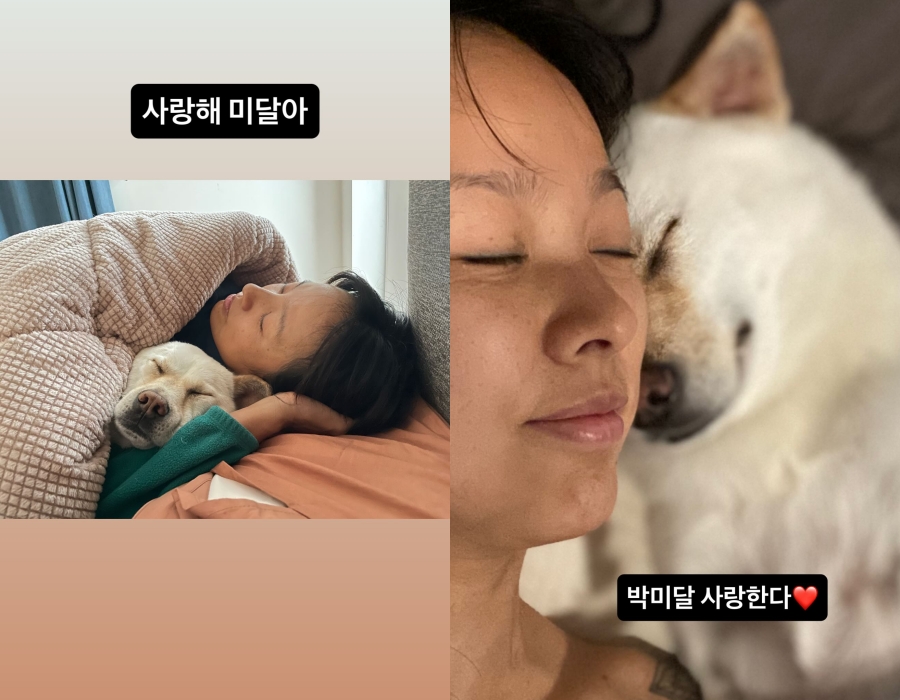 사진 : 이효리 인스타그램