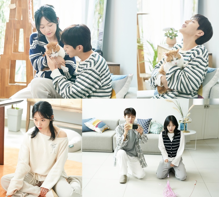사진: tvN 제공