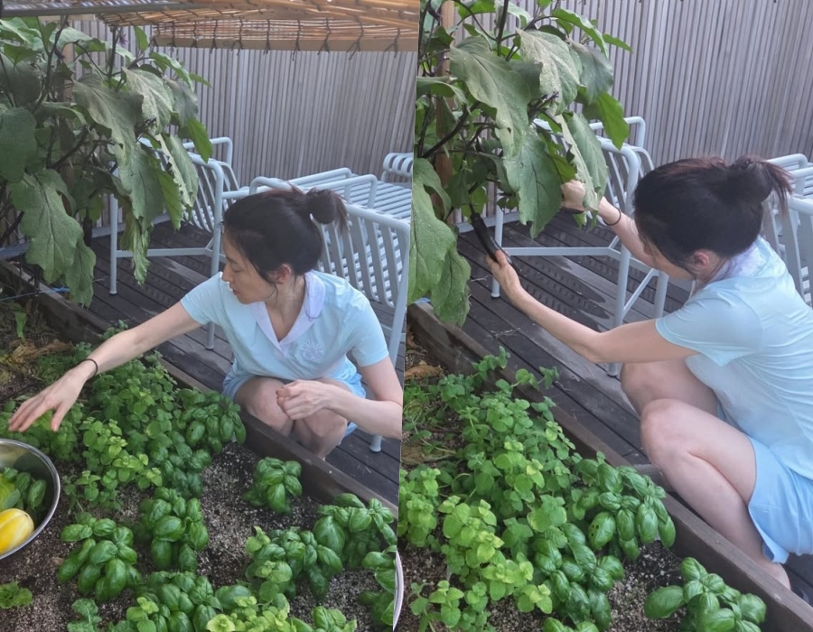 사진 : 이영애 인스타그램