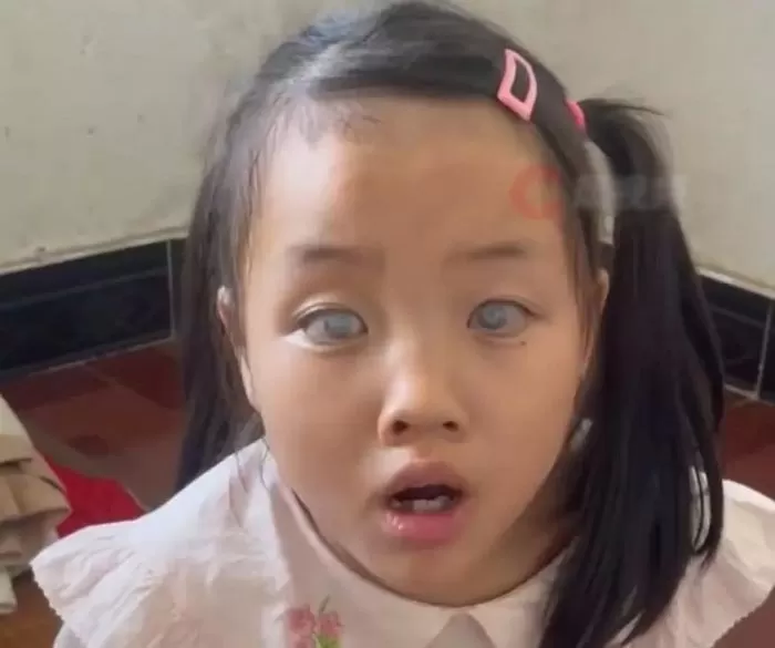 引用:微博