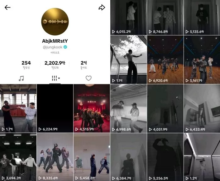 引用：TikTok＠jungkook