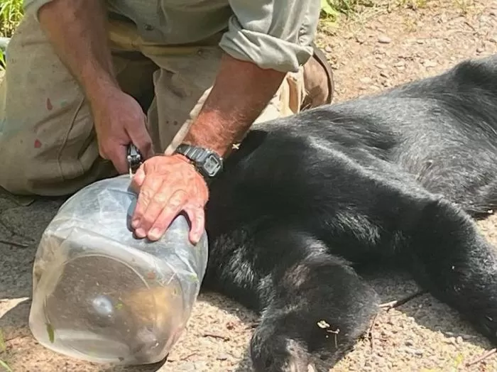 引用：USDA 野生動物局