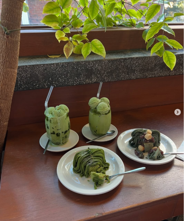 (출처 : 노버든 인스타그램)