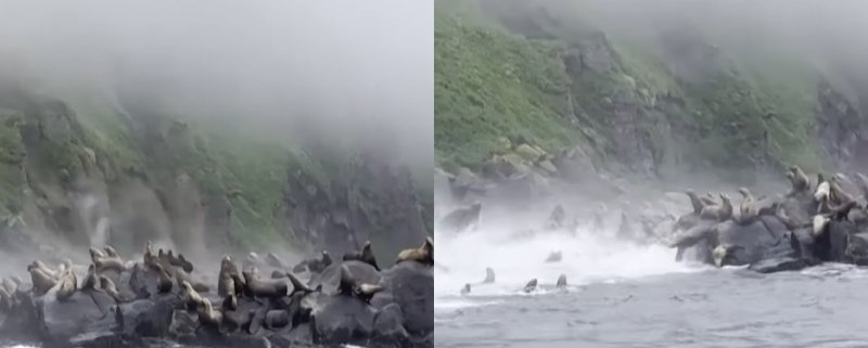 引用：ニュース1